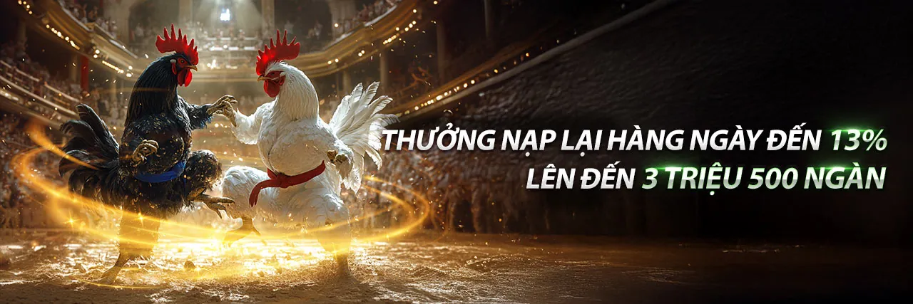Chương trình Đại lý mv666 chính thức