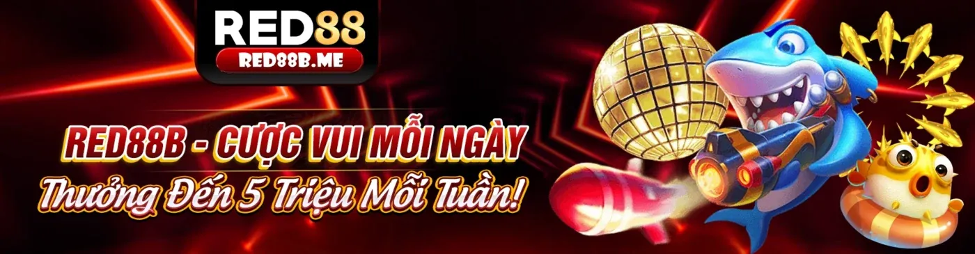 mv666 chính thức Quyền của người dùng