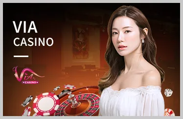 Đá Gà mv666 chính thức